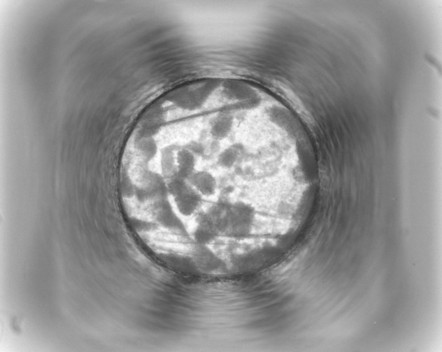 X0000093240433200710241258