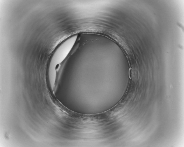 X0000093240434200710241258