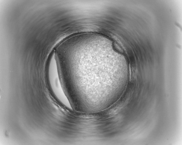 X0000093240435200710241258