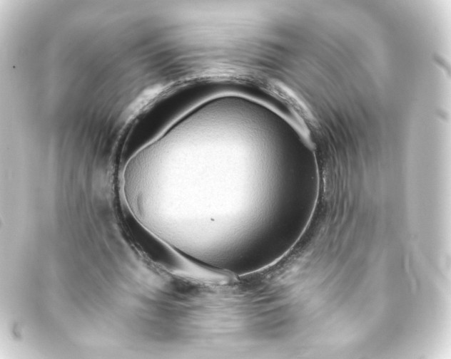 X0000093240436200710241258