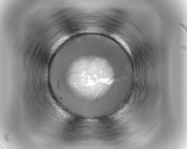 X0000093240437200710241258