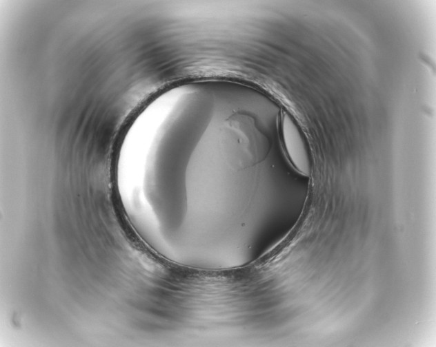 X0000093240438200710241258