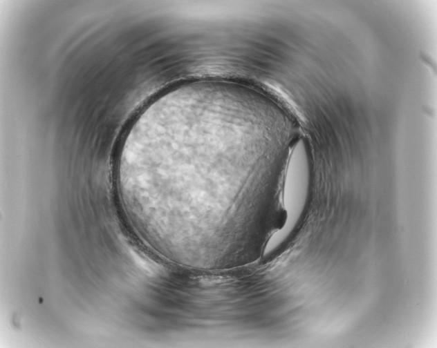 X0000093240439200710241258