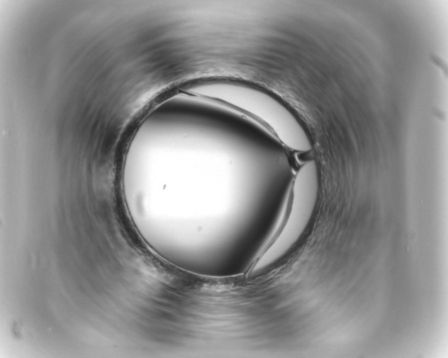 X0000093240440200710241258