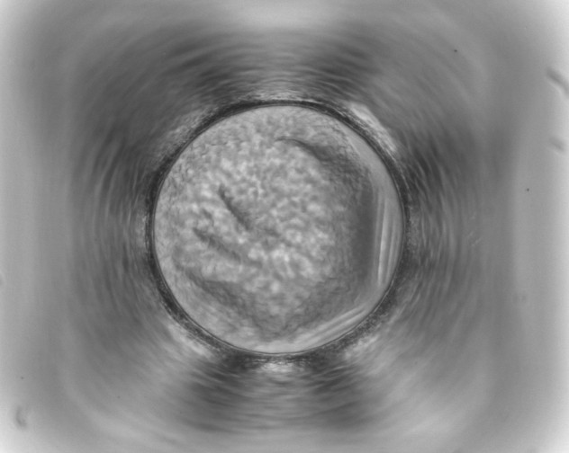 X0000093240441200710241258