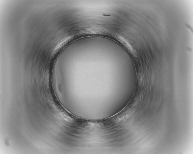 X0000093240442200710241258