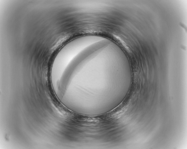 X0000093240443200710241258