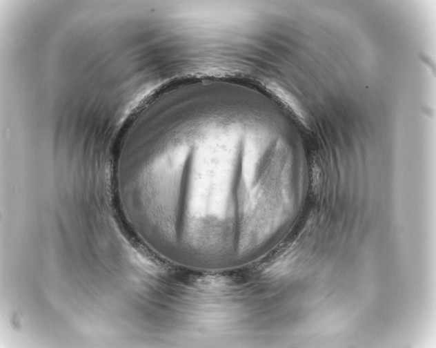 X0000093240444200710241258