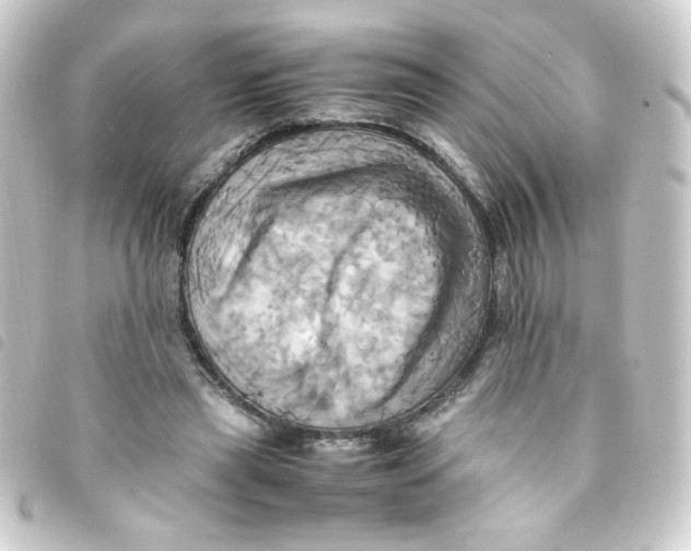 X0000093240445200710241258