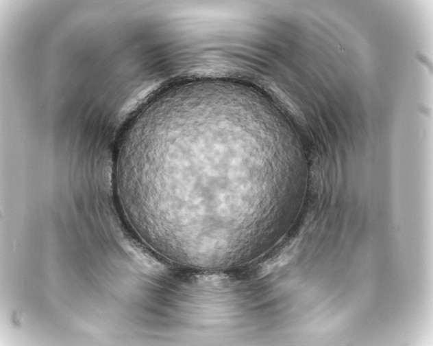 X0000093240446200710241258