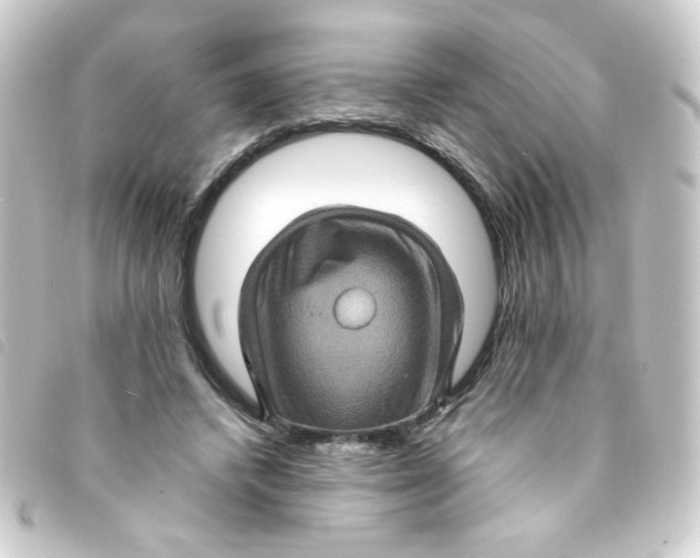 X0000093240448200710241258