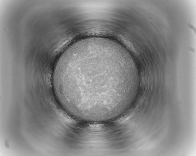 X0000093240450200710241258