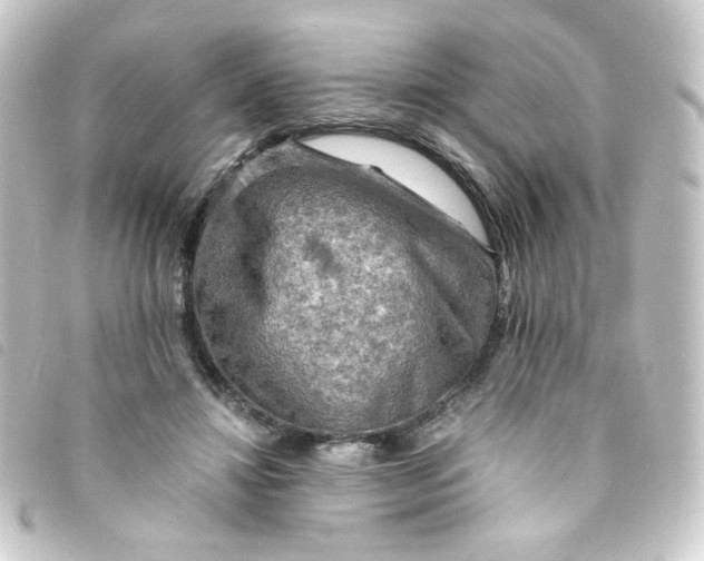 X0000093240452200710241258