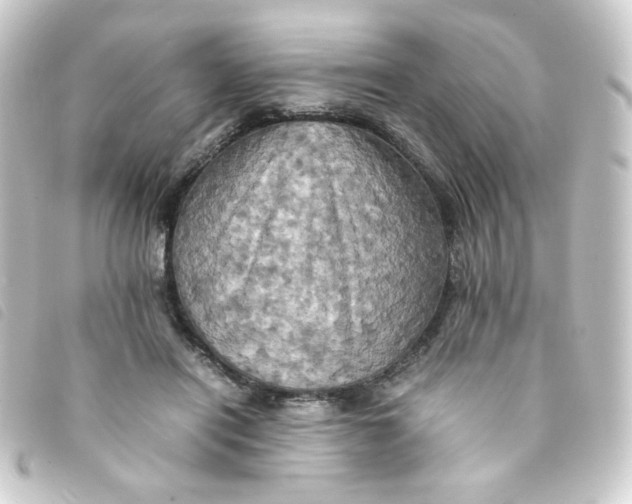 X0000093240454200710241258