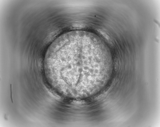 X0000093240455200710241258