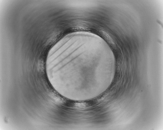 X0000093240457200710241258