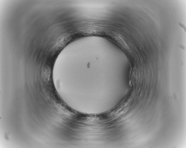 X0000093240458200710241258