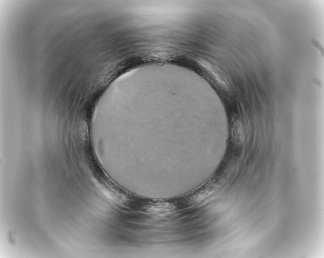 X0000093240459200710241258