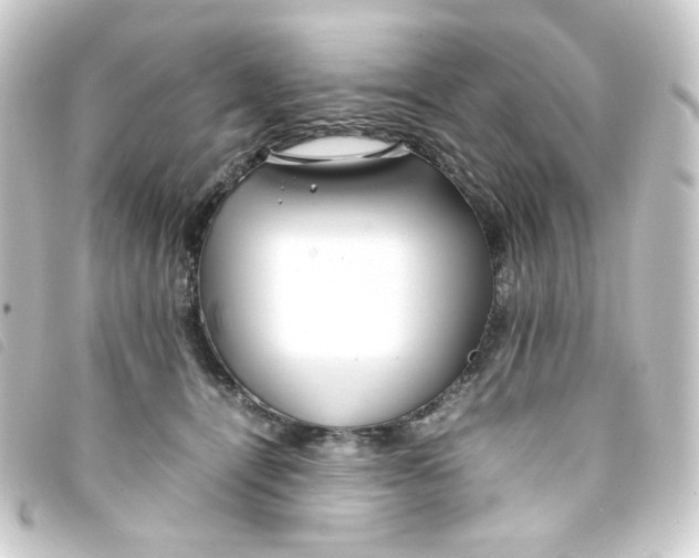 X0000093240464200710241259