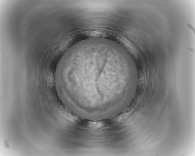 X0000093240469200710241259