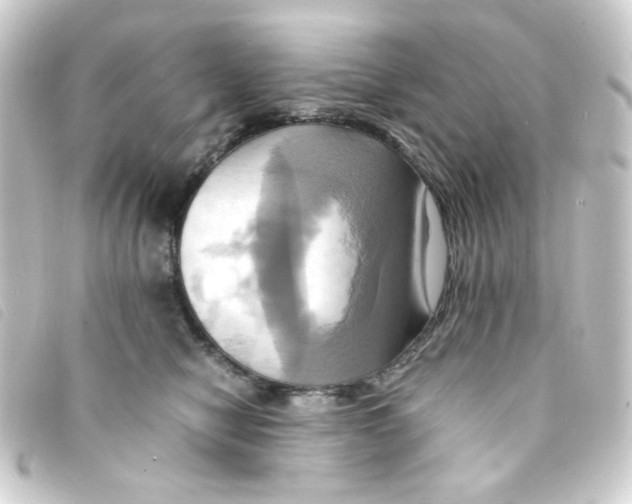 X0000093240470200710241259