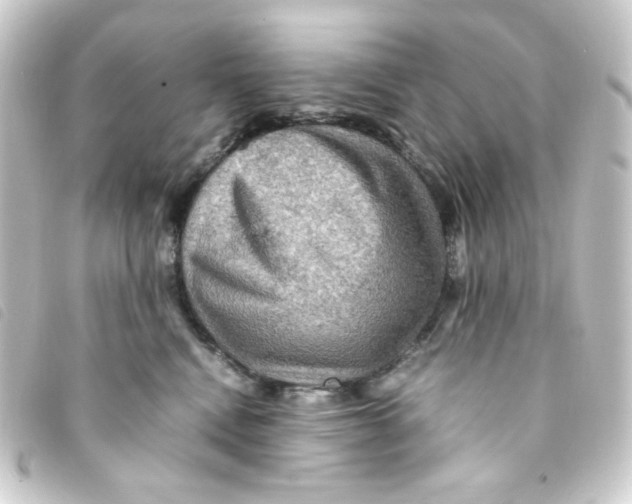 X0000093240472200710241259