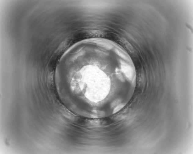 X0000093240473200710241259