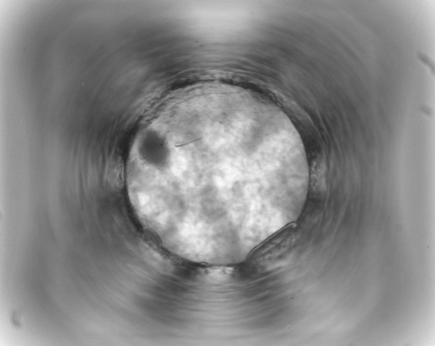 X0000093240474200710241259