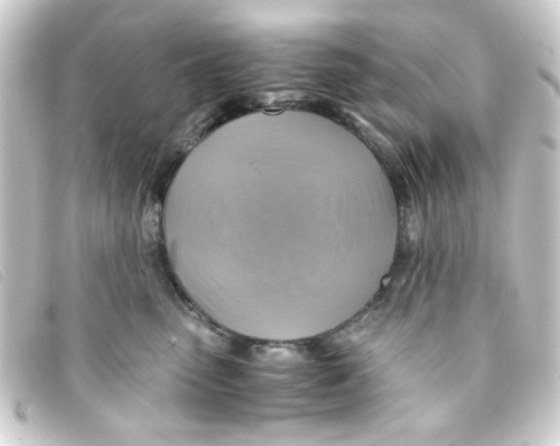 X0000093240475200710241259