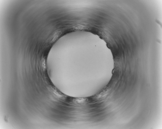 X0000093240479200710241259