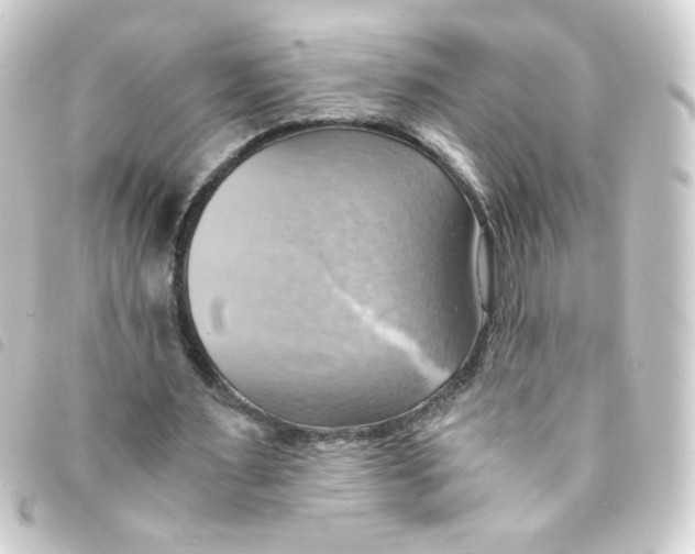 X0000093240483200710241258