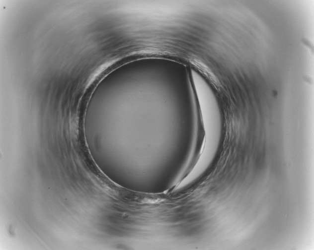 X0000093240484200710241258