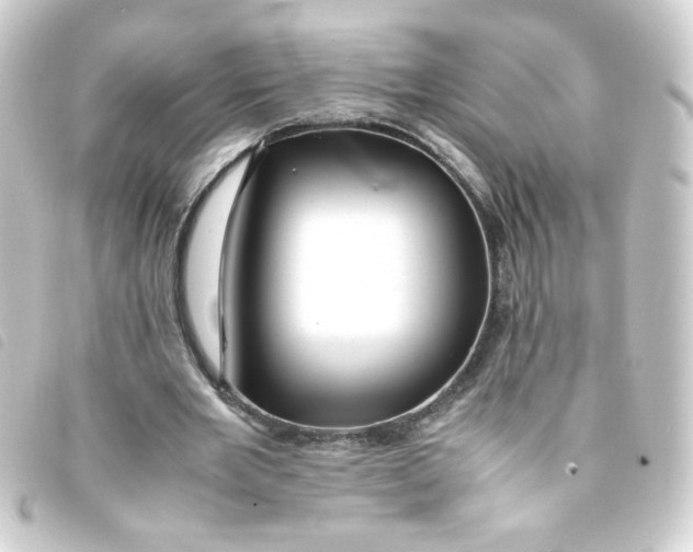 X0000093240485200710241258