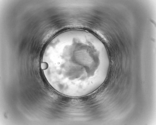 X0000093240487200710241258