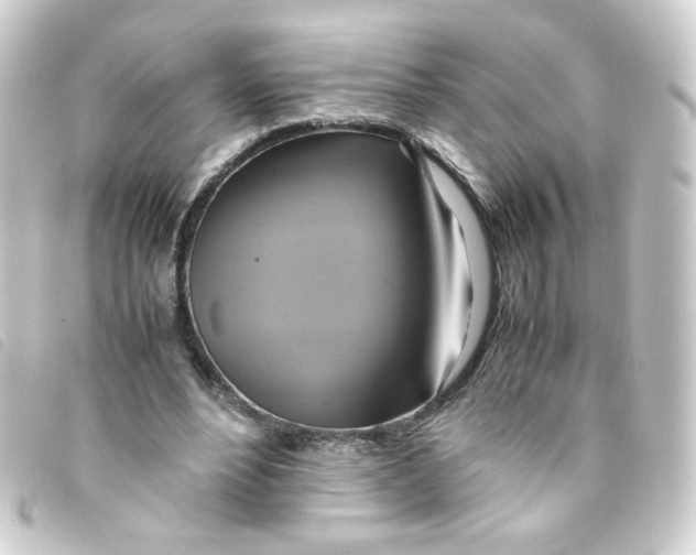 X0000093240488200710241258