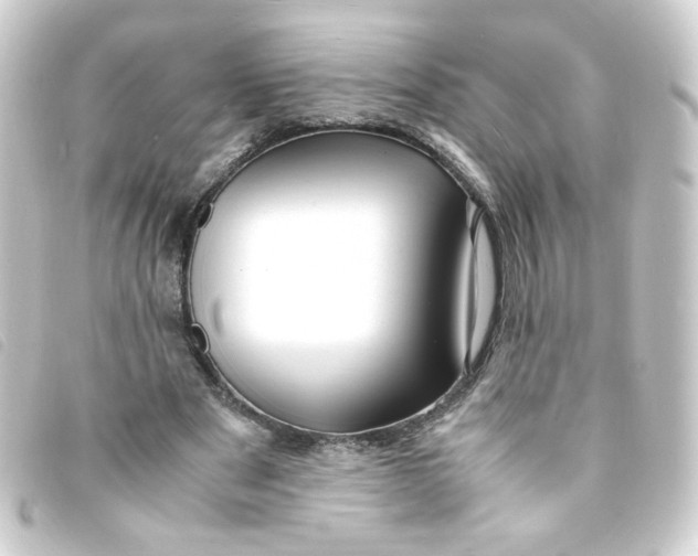 X0000093240489200710241258