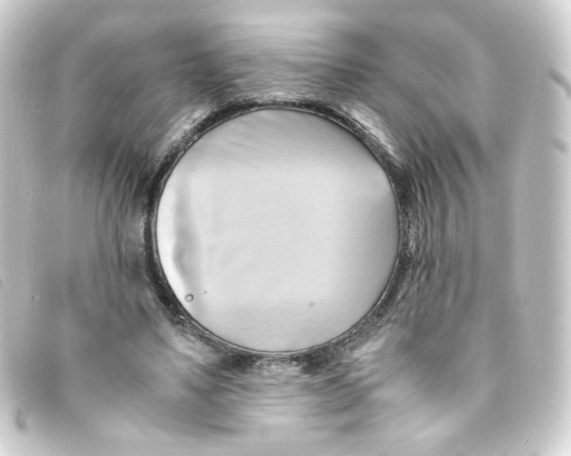 X0000093240491200710241258