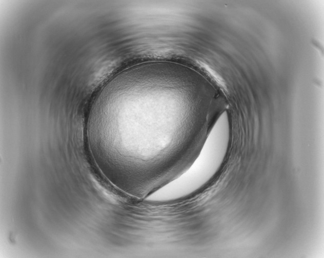 X0000093240493200710241258