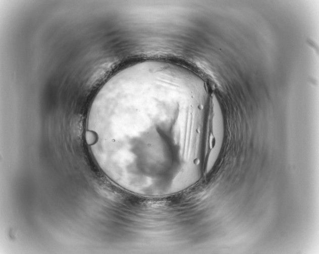 X0000093240495200710241258