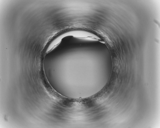 X0000093240496200710241258