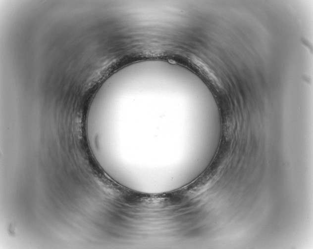 X0000093240497200710241258