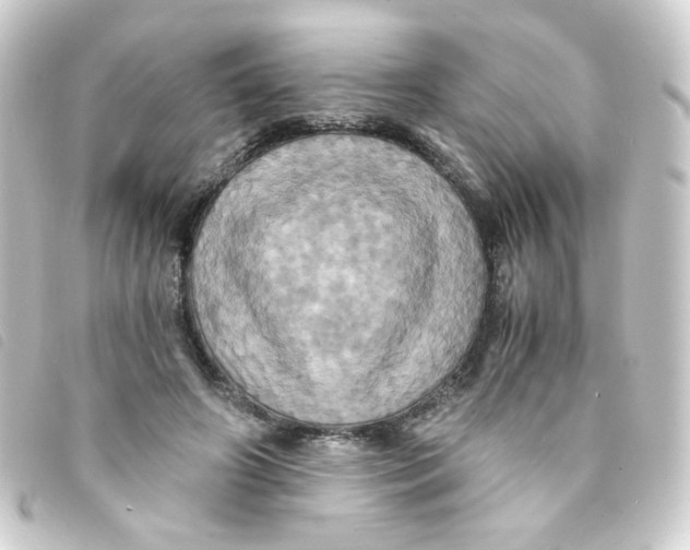 X0000093240498200710241258