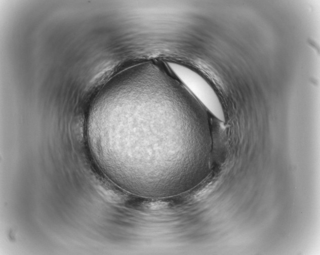 X0000093240501200710241258