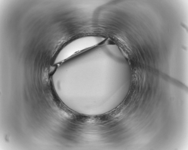 X0000093240504200710241258