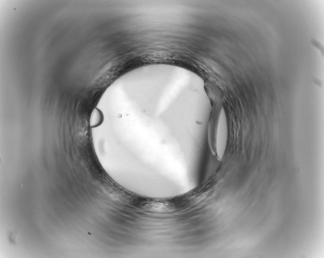 X0000093240507200710241258