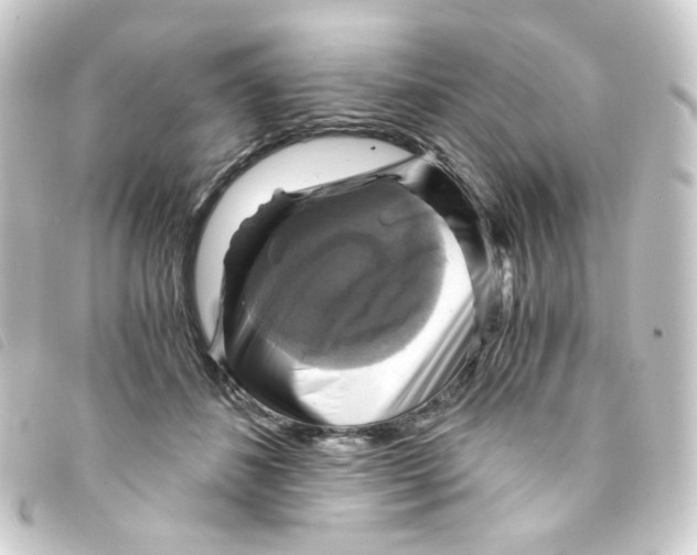 X0000093240508200710241258