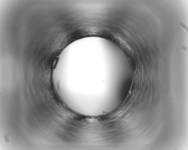 X0000093240509200710241258