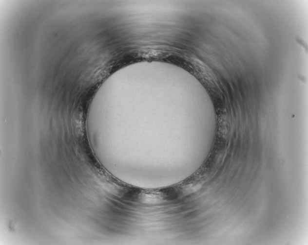 X0000093240510200710241258