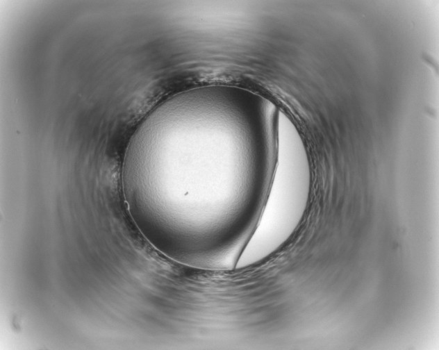 X0000093240513200710241258