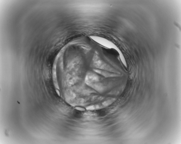 X0000093240515200710241258